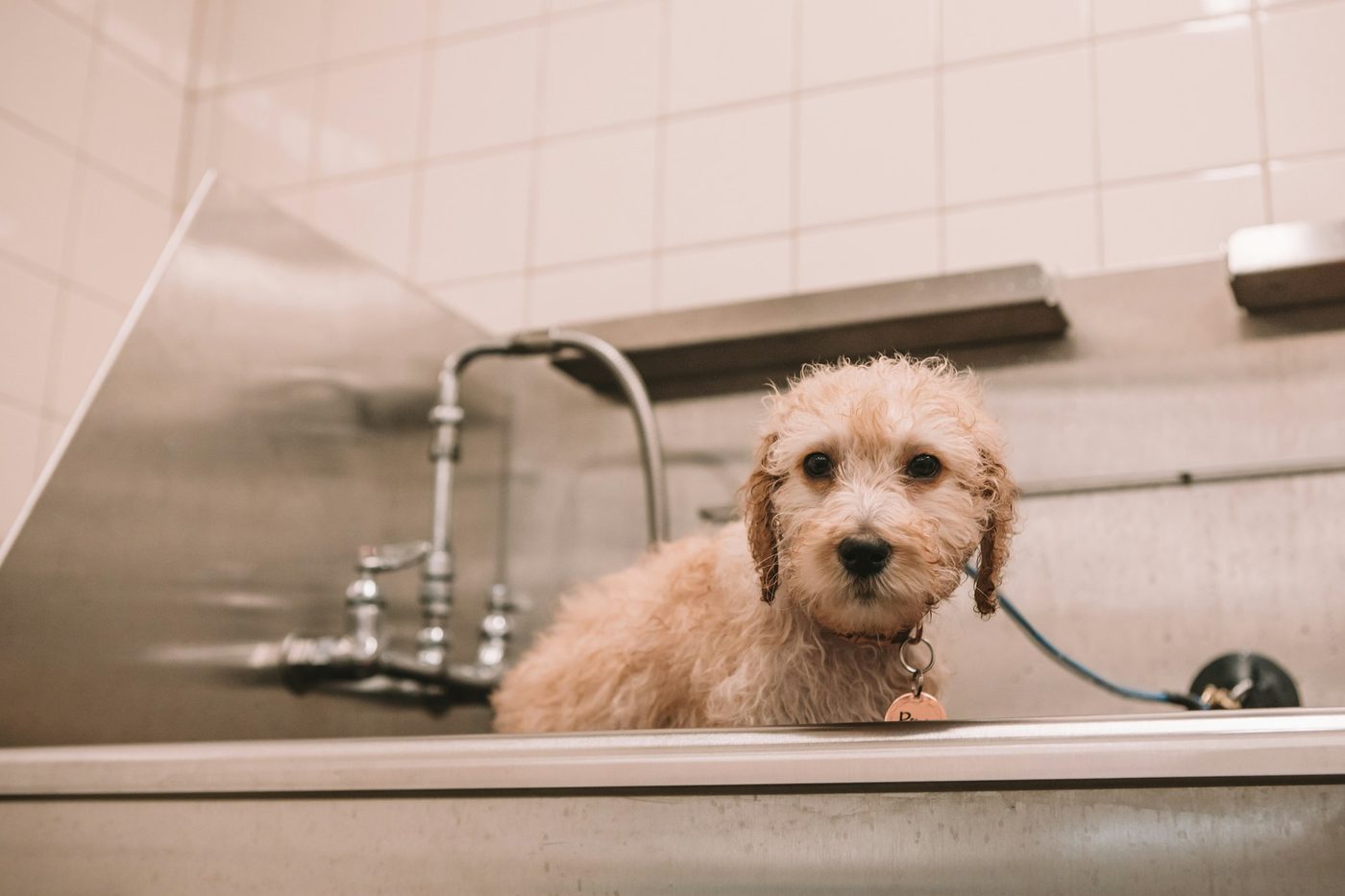 Bath time, one at a time