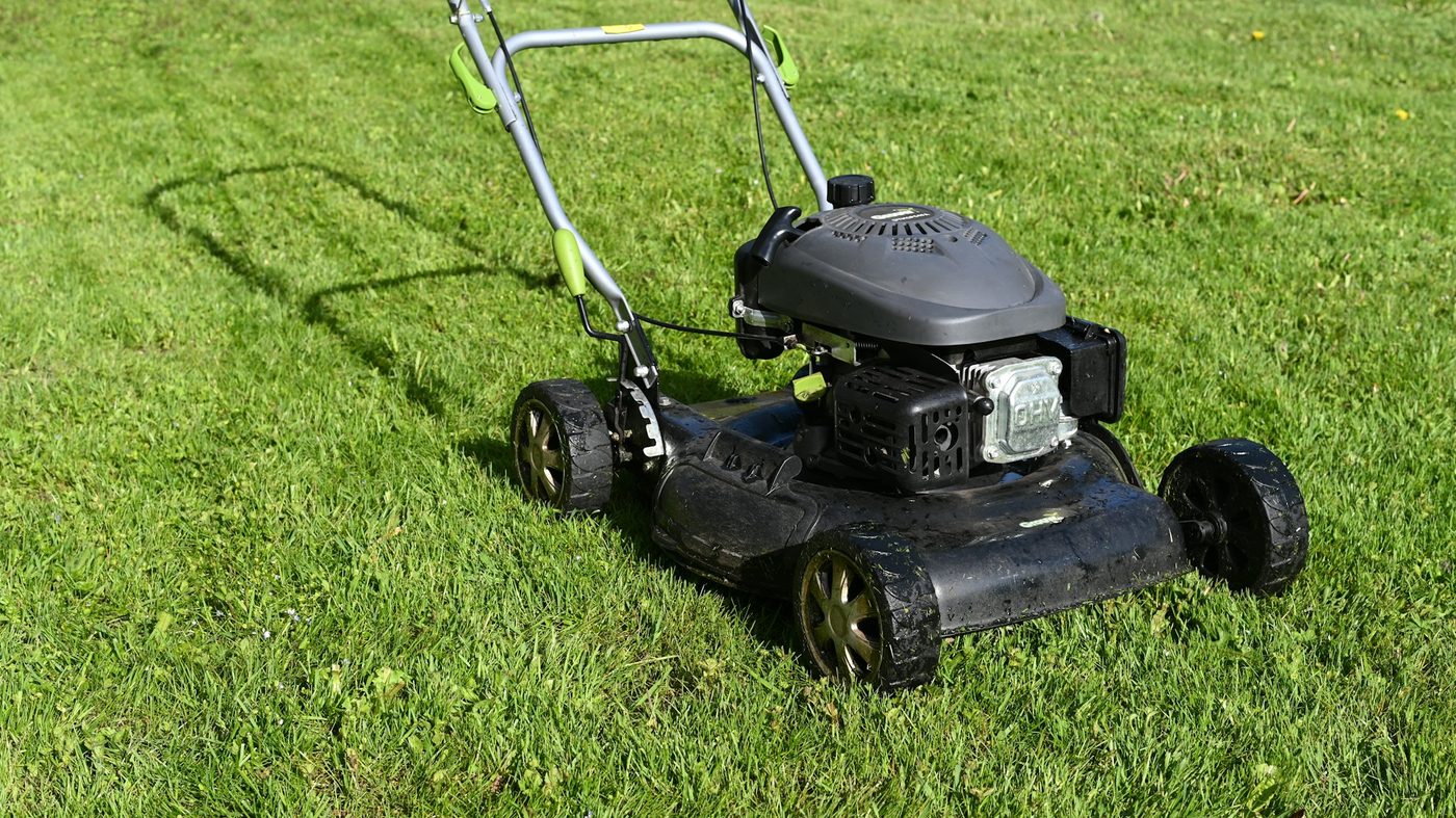 Lawn feed — season pack