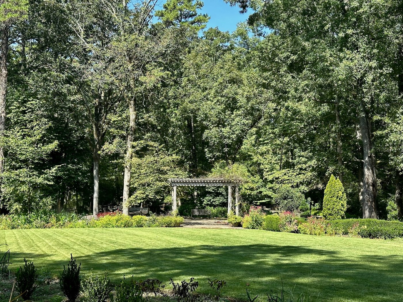 Planting borders in the park garden