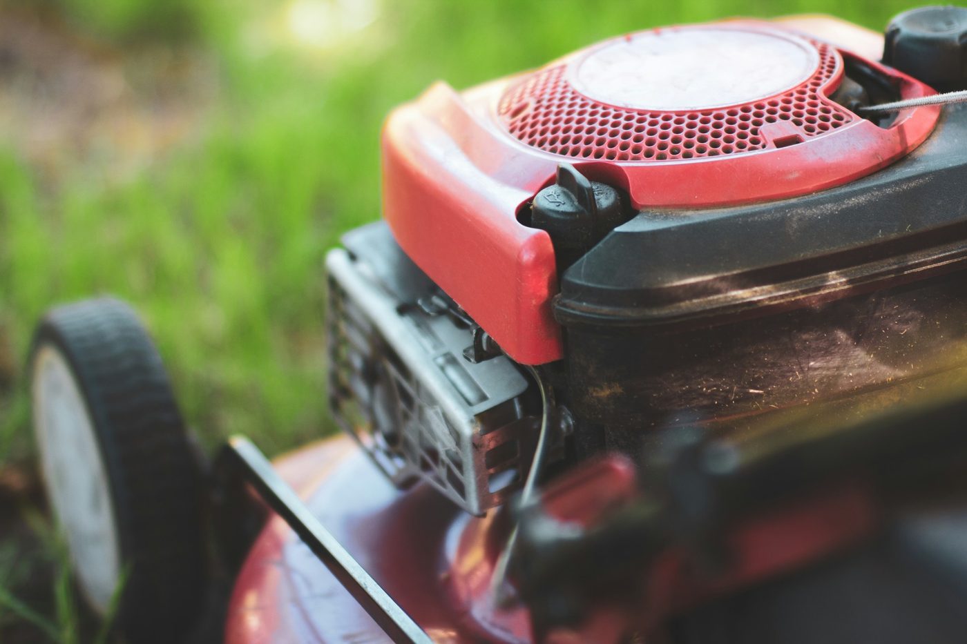 Overgrown to finished — the Kelsall job